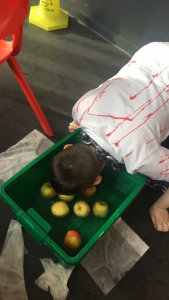 aj-dooking-for-apples