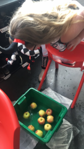 sophie-dooking-for-apples